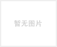 艾默生高频开关充电模块ER22010/T